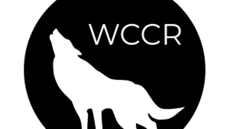 Wolf Creek Canyon Relay cover