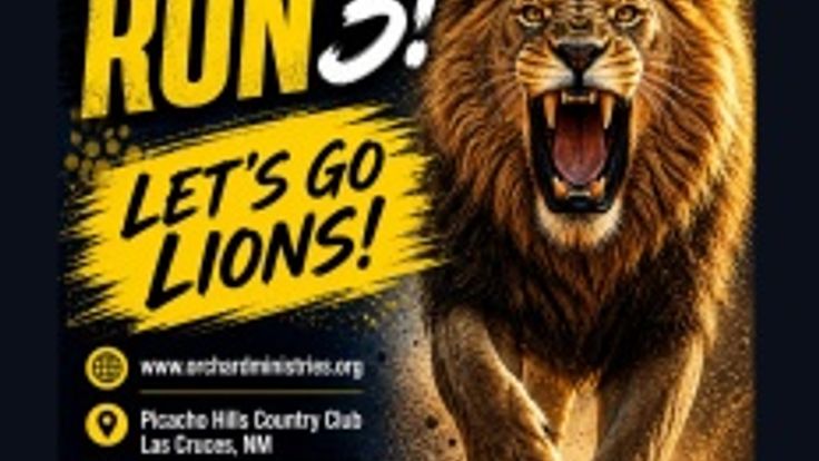 ROAR RUN 3! cover