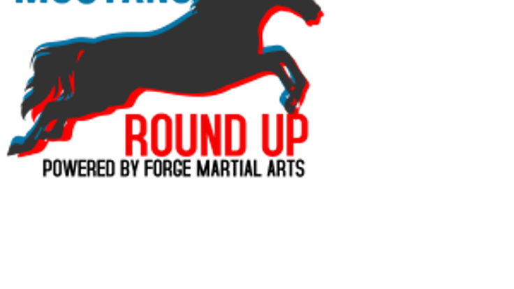 Mustang Round Up cover
