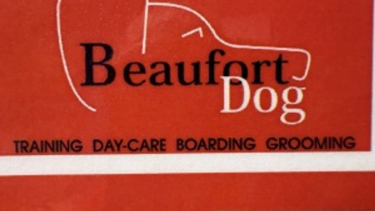 Beaufort Dog Obstacle Course Run/Walk 5K cover