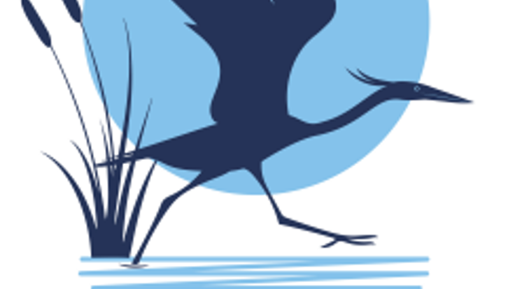 Lake Conestee 8k Run/Walk cover
