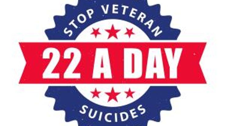 VETERANS AWARENESS 5K RUN/WALK cover