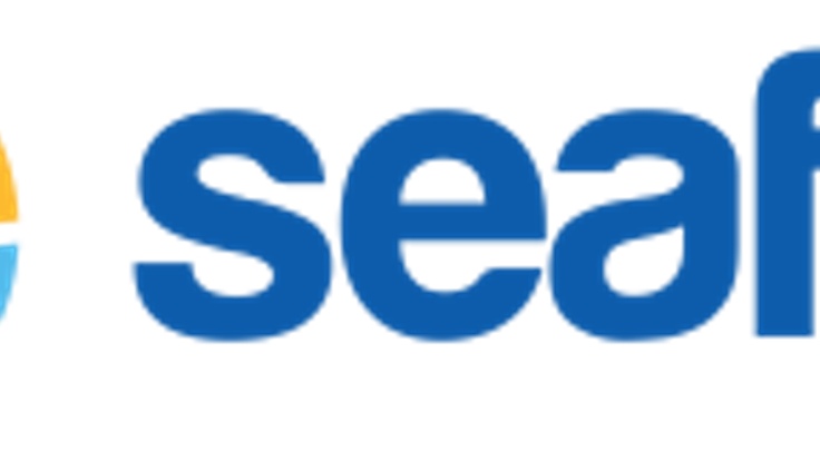 Kaiser Permanente Seafair Torchlight Run cover
