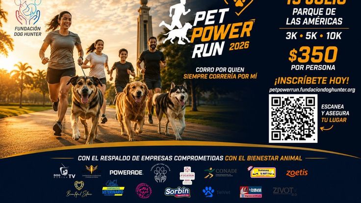 PET POWER RUN cover