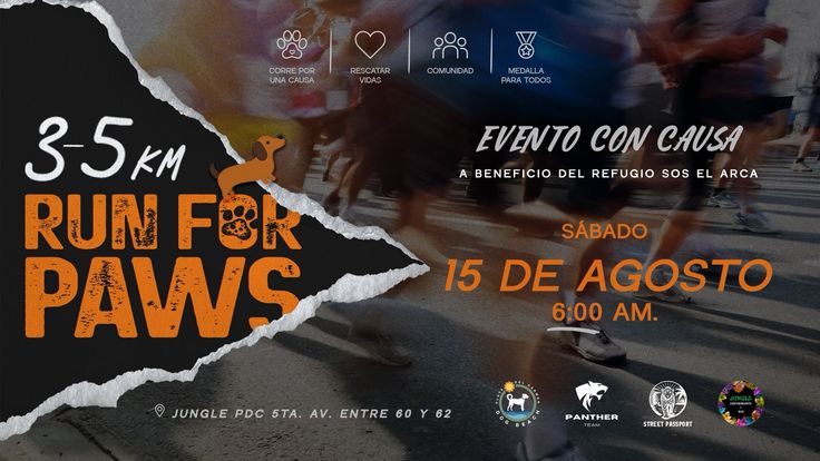 RUN FOR PAWS cover