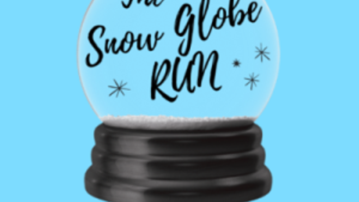 Snow Globe Run cover