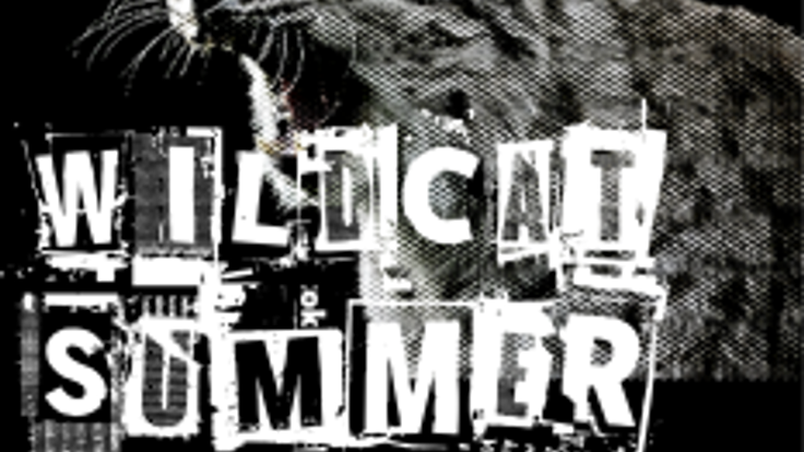 Wildcat Summer Cup - August 5K cover