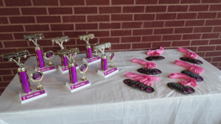 Pink Heals Eastern Alabama Cancer...Runaway 5K Run/Walk cover