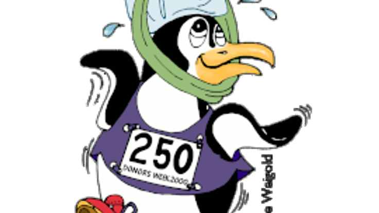 Torrington Road Race 2026 cover