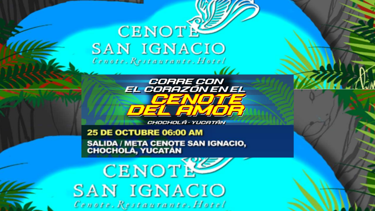 CENOTE SAN IGNACIO cover