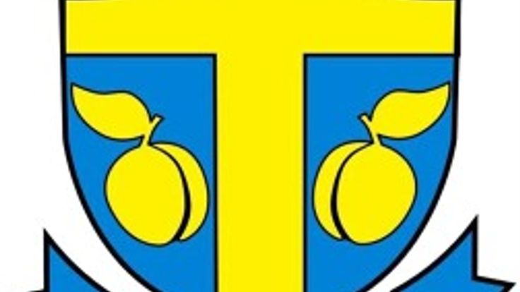 Thorsby Swedish Festival Viking Run cover
