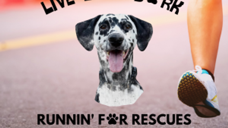 Runnin' for Rescues 5K/10K cover