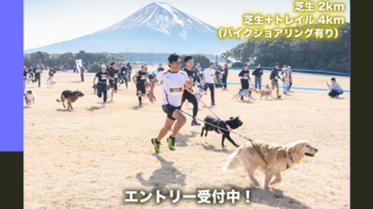 富士山麓を愛犬と走る!静岡カニクロス cover