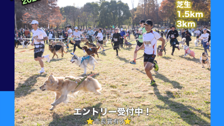 愛犬と走る!2026 大阪 枚方カニクロス cover