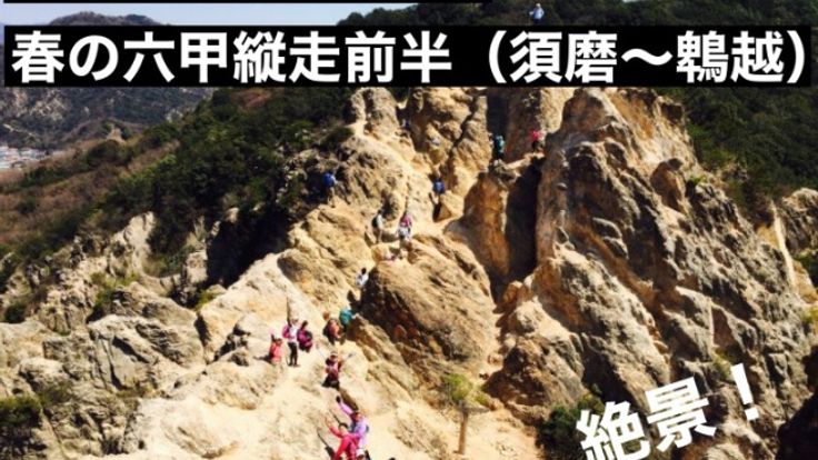 【六甲縦走に挑戦】神戸・六甲縦走トレイルラン14km|須磨~鵯越 cover