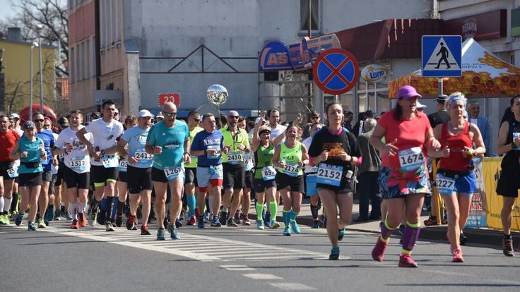 Maraton Dębno cover