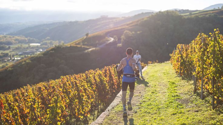 Trail en Côte-Rôtie cover