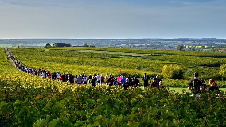 La Pouilly-Sancerre cover