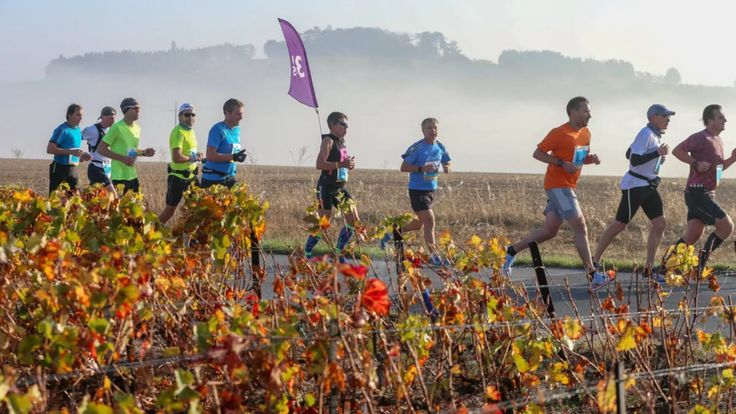 Reims Champagne Run cover
