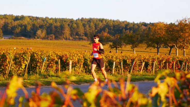 Marathon des Grands Crus cover