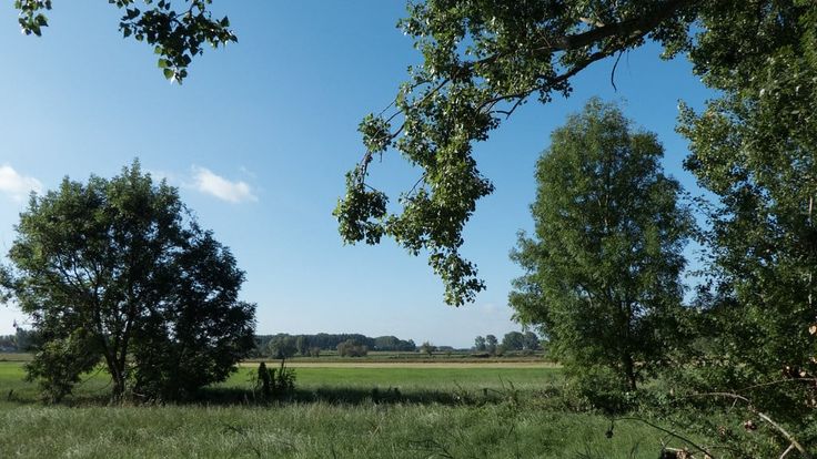 Farm Trail cover