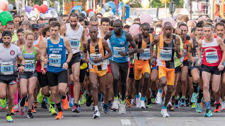 Mezza Maratona di Treviso cover