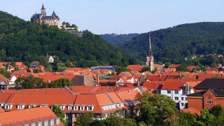 Harz-Gebirgslauf cover