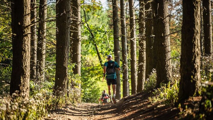 Ultra Trail du Beaujolais Vert cover