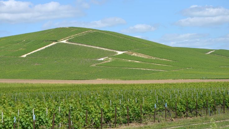 Ultra Trail du Chemin de Clos cover