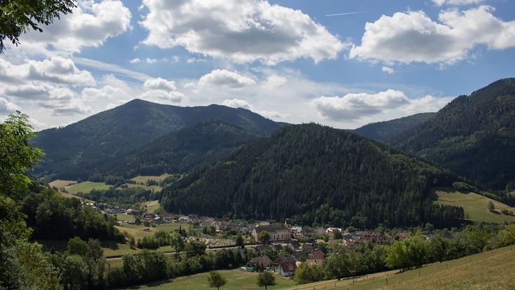 Black Forest Trailrun Masters cover