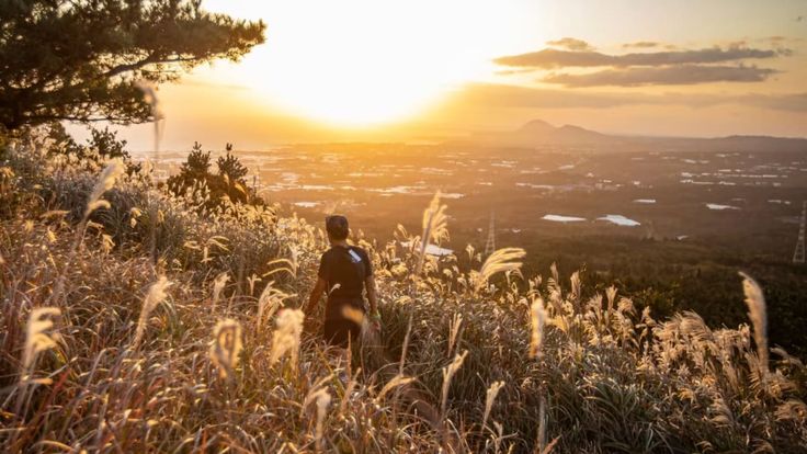 TransJeju by UTMB® cover