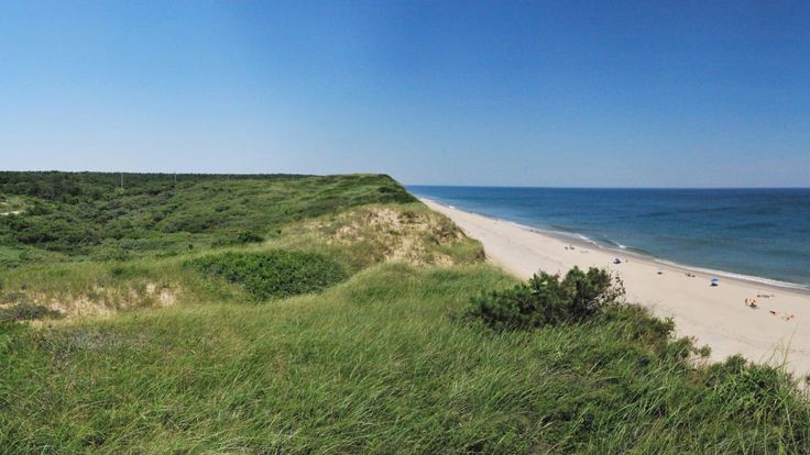 SwimRun Cape Cod cover