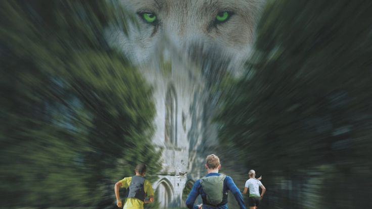 Trail du Loup Vert cover