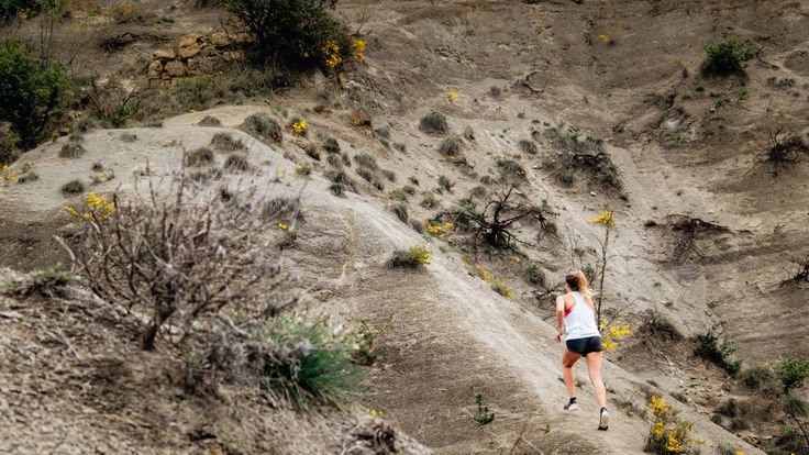 Trail du Petit Saint-Paulien cover