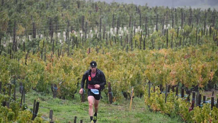 Tour des Crus du Beaujolais cover