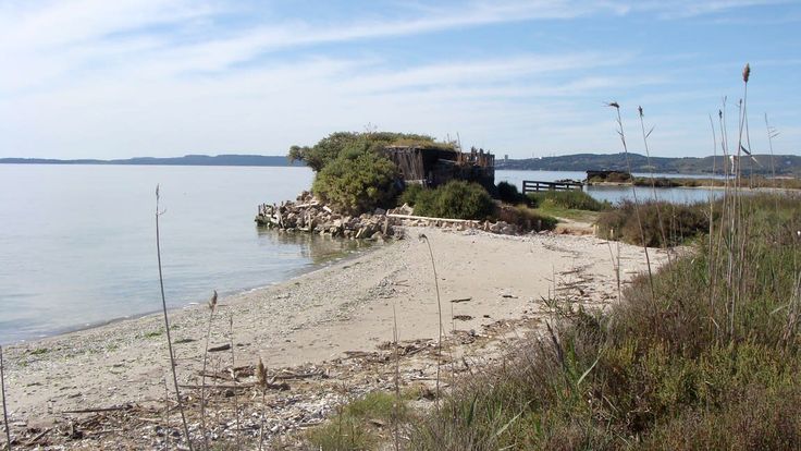Triathlon de l'Etang cover