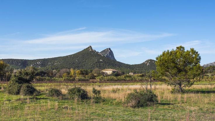 Trail de la REMONTADA cover