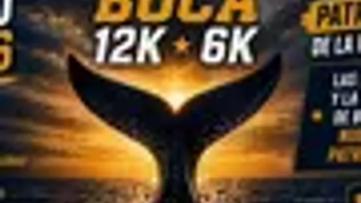 Corrida Patrimonio de la Humanidad 2026 cover