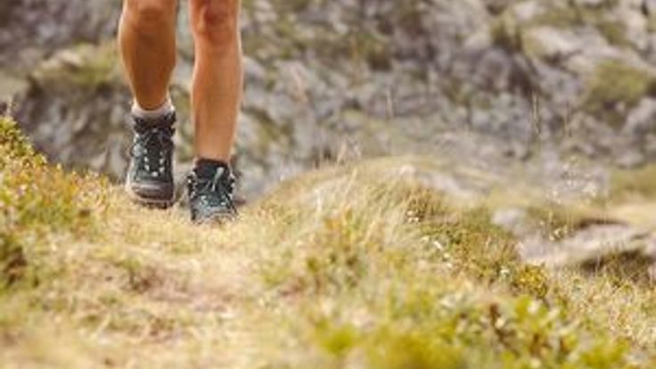 Trail Aniversario UACh cover