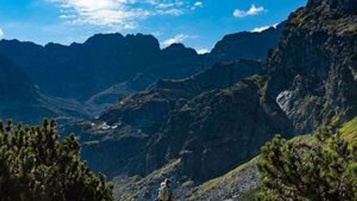 Trail Running Requínoa cover