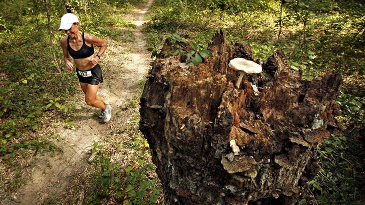 John Holmes Trail Run cover