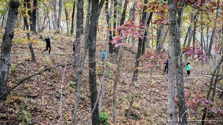 FLATS Trail Half Marathon cover