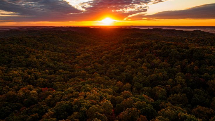 Shawnee Trail Runs cover