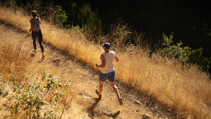Sunset & Cider Trail Races cover