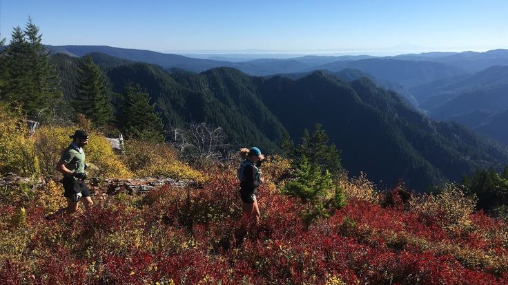 Elk-Kings Trail Races cover