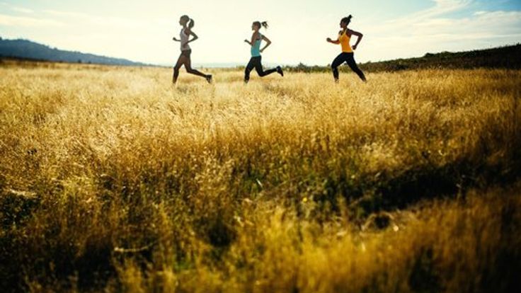The Peak 50K, Marathon & Half Marathon cover