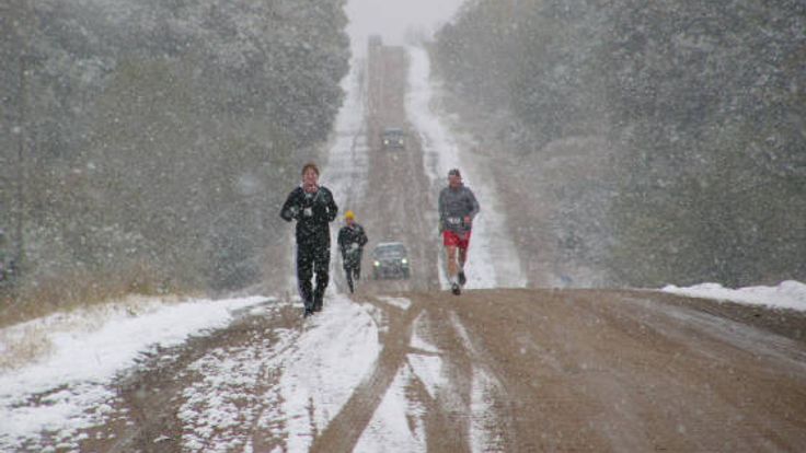 Bohemian Alps Endurance Run Half Marathon cover
