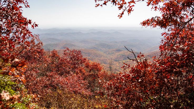 Georgia Sky to Summit cover