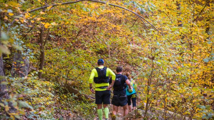 Patapsco Valley 50K cover