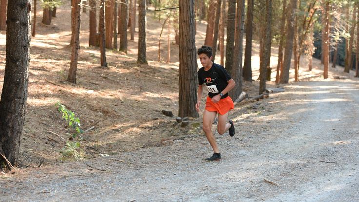 Trail Run at Sly Park - Fall cover